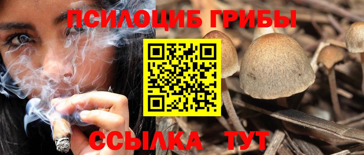 Галлюциногенные грибы прущие грибы  Вход с VPN  Великий Устюг 